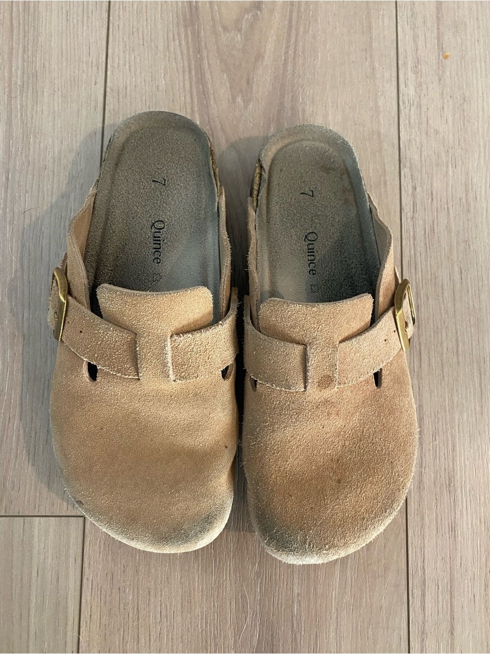Quince Suede Buckle Clogs in Tan